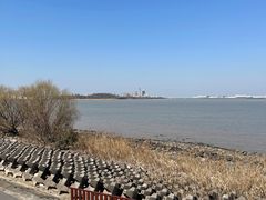 -上海滨江森林公园
