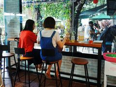 -柴犬高等学院·狗咖·柴犬售卖·宠物训练