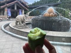 -斯瑞特国际酒店