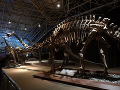 -世界恐龙谷景区