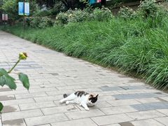 -元大都城垣遗址公园