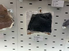 -浙江自然博物院(杭州馆)