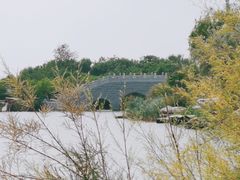 -大港湿地公园