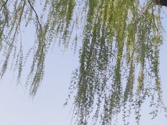 -颐和园