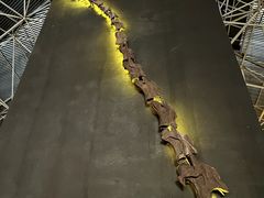 -世界恐龙谷景区