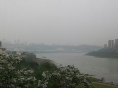 -大渡口区义渡公园