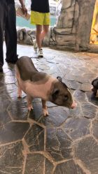 -Zoolung Zoolung动物主题公园(海信广场店)