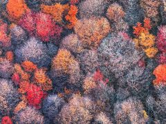 -罗红摄影艺术馆