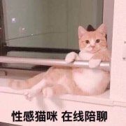 -西少爷(望京SOHO店)