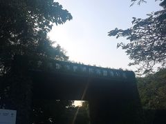 -华侨城湿地公园