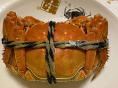 -新光酒家·河豚·海鲜·蟹料理(浦东店)