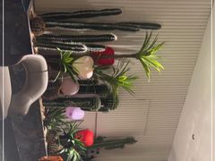 -虾佬圣汤·海鲜姿造(乐堤港店)