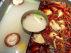 鱼火锅-新辣道鱼火锅(西直门店)