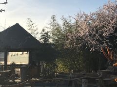 -金隅凤山酒店