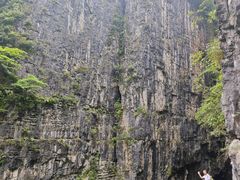 -鹿院坪生态旅游景区