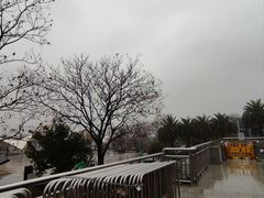 -秋水广场