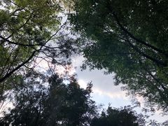 -顺峰山公园