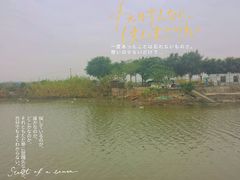 -海鸥岛河景湖大排档