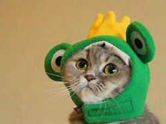 -刘胖子家常菜·蹄花焖藕(兴业店)