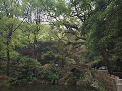 -青芝山风景名胜区