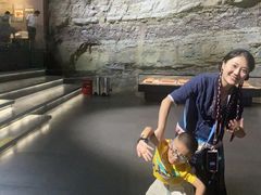 -自贡恐龙博物馆