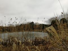 -梁鸿国家湿地公园