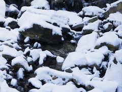-少华山国家森林公园