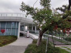 -府河摄影公园