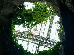 -南山植物园
