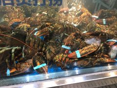 -盒马X会员店(王府井奥莱UP TOWN店)