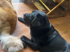 -龙香居海鲜浑锅家常菜·特色驴肉