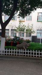 -南京市妇幼保健院(莫愁路院区)