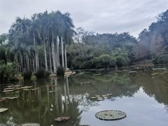 -中国科学院西双版纳热带植物园