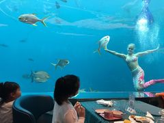 -瑞德姆美人鱼海底演艺主题餐厅(亚龙湾店)