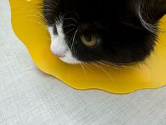 -拜鲁耶动物诊疗中心·宠家动物医院