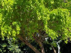 -人民公园(罗湖区)