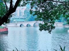 -荔湾湖公园