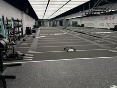 -TMG潮流健身(奥体莲荷里店)