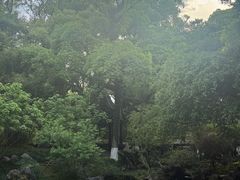 -墨池公园