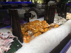 田鸡-加餐海鲜自助(宝龙一城店)