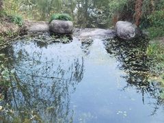 -杭州植物园