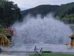 -西双版纳原始森林公园