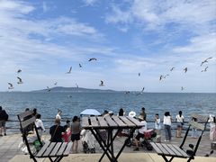 -悦海公园
