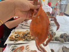 -宾朋海鲜特色美食餐厅·纯手工鲅鱼水饺(兴海路店)