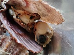 -宾朋美食海鲜餐厅·特色美食专访(兴海路店)