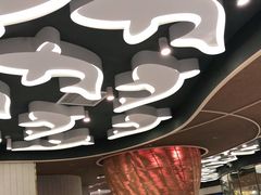 -阿五黄河大鲤鱼(海尚店)