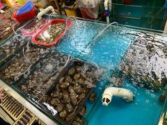 -板桥海鲜广场(文明东店)