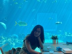 -涛·海底餐厅·美人鱼·自助餐·海底隧道(三亚海棠湾洲际度假酒店)