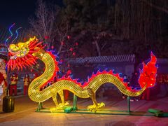 -南宫五洲植物乐园