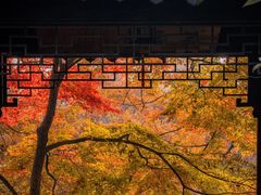 -山塘街